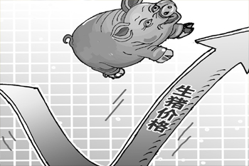 散戶模式留隱患　豬價頻坐&ldquo;過山車&rdquo;